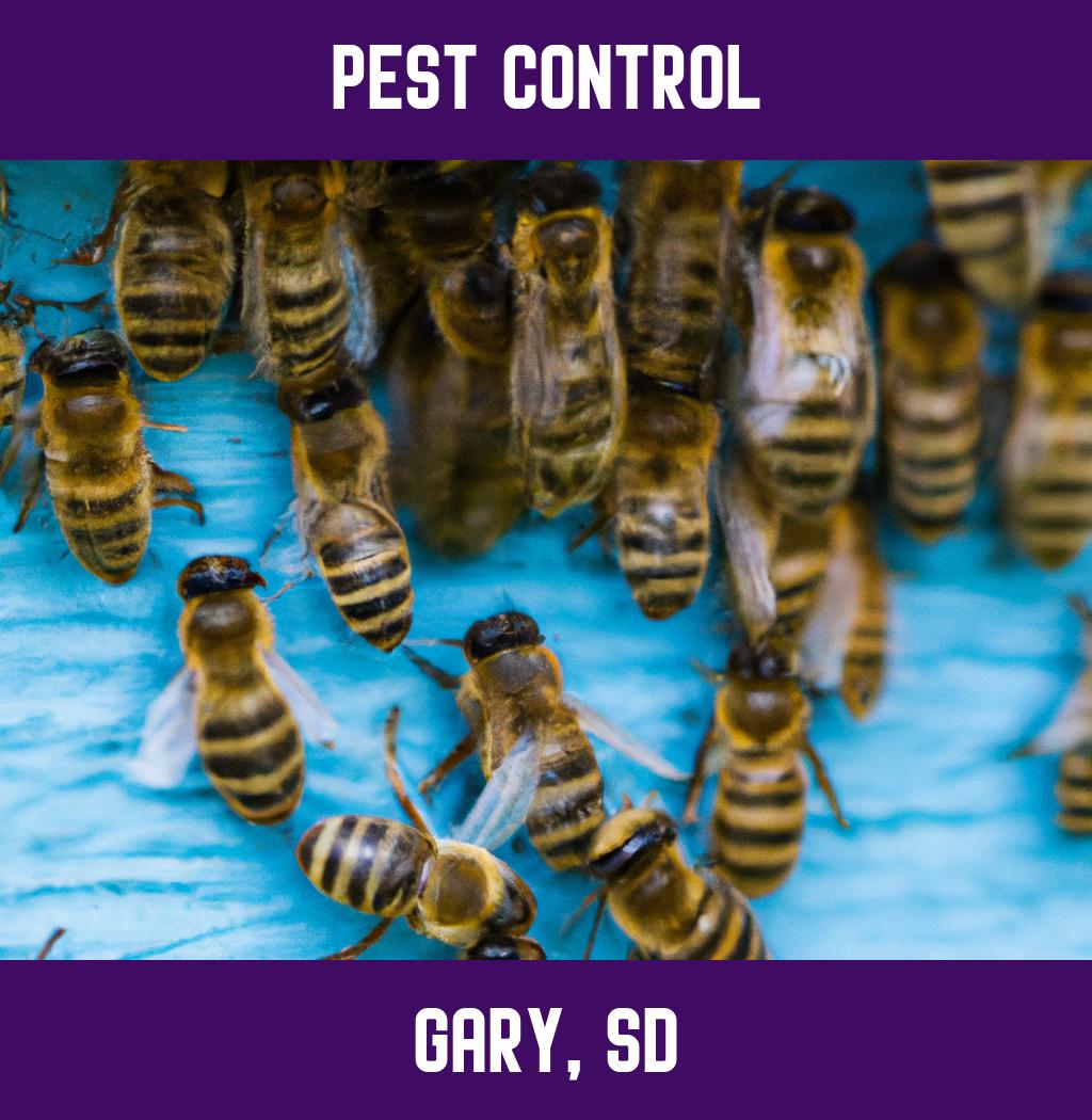 pest control in Gary South Dakota