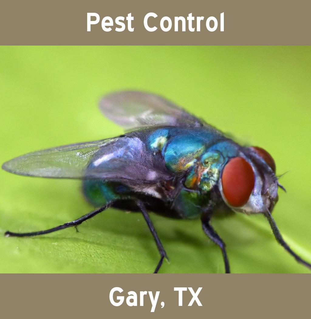 pest control in Gary Texas