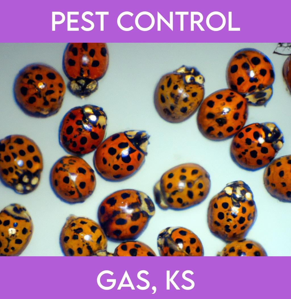 pest control in Gas Kansas