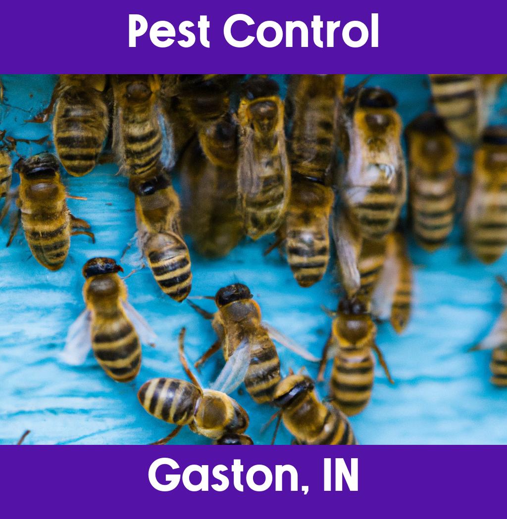 pest control in Gaston Indiana