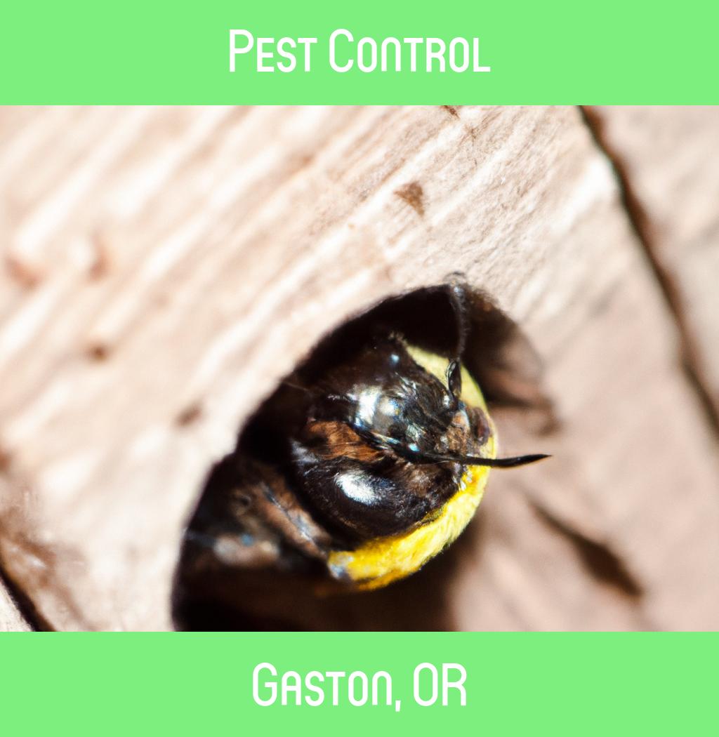 pest control in Gaston Oregon