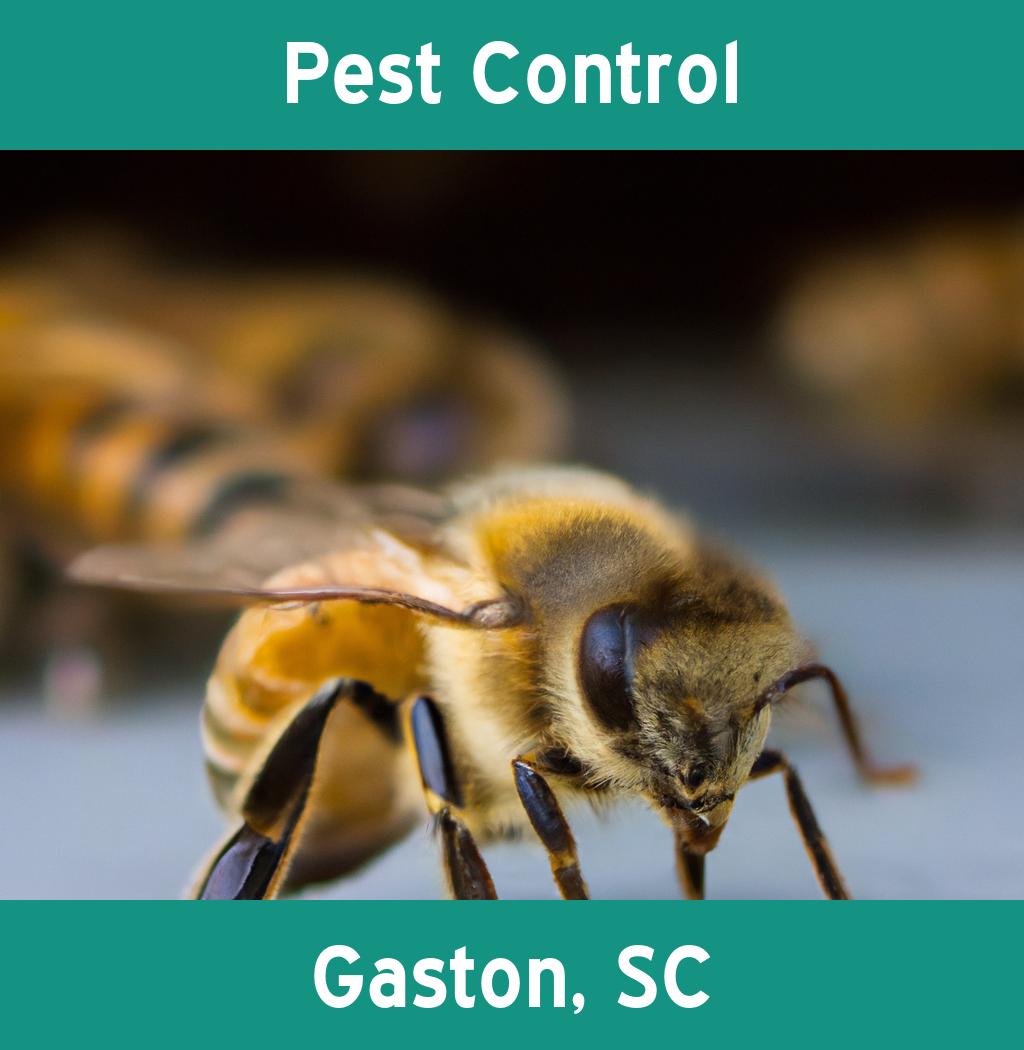 pest control in Gaston South Carolina