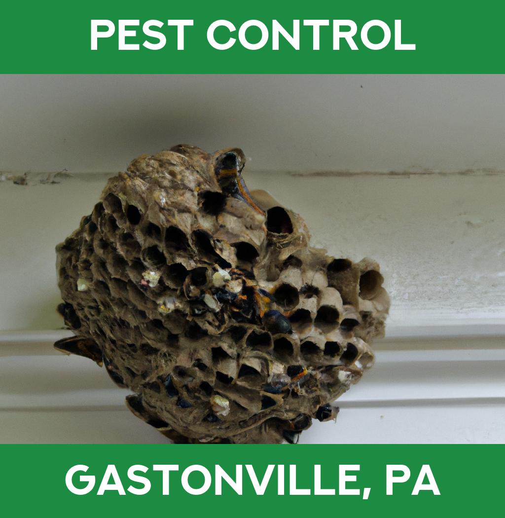 pest control in Gastonville Pennsylvania
