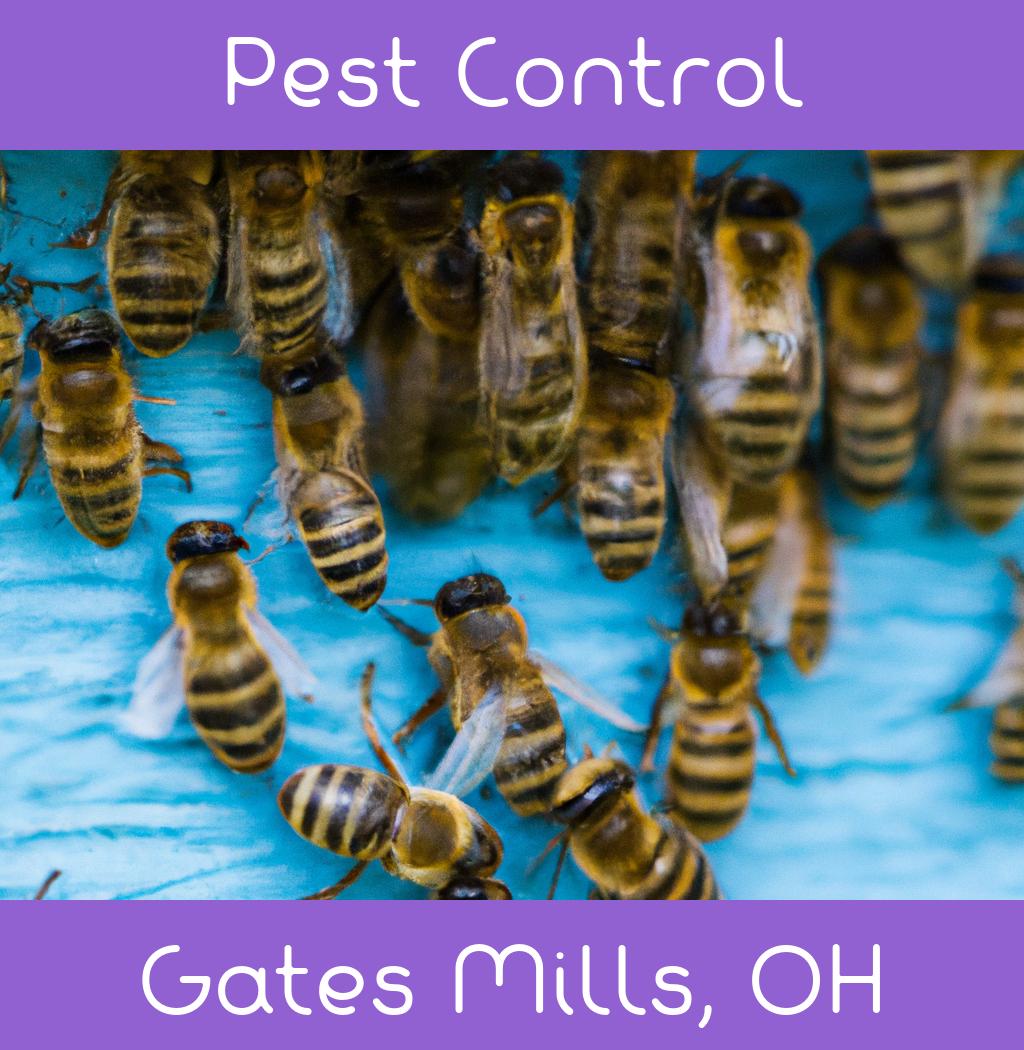 pest control in Gates Mills Ohio