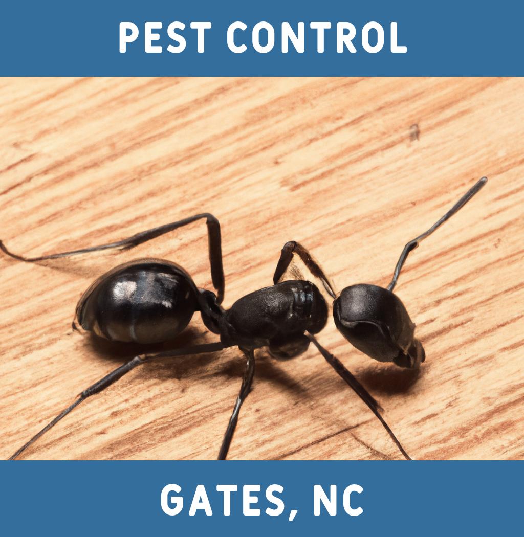 pest control in Gates North Carolina