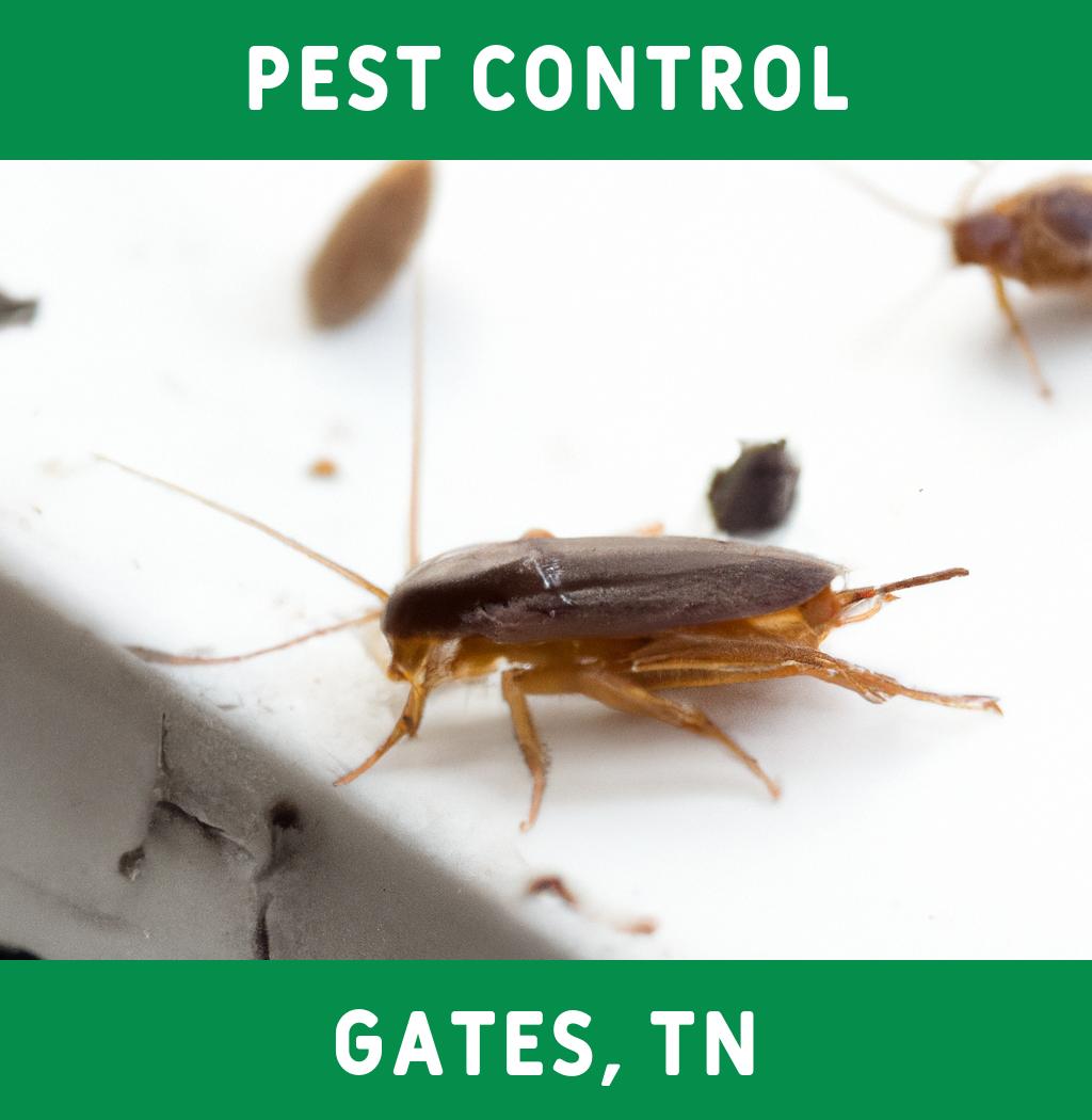 pest control in Gates Tennessee
