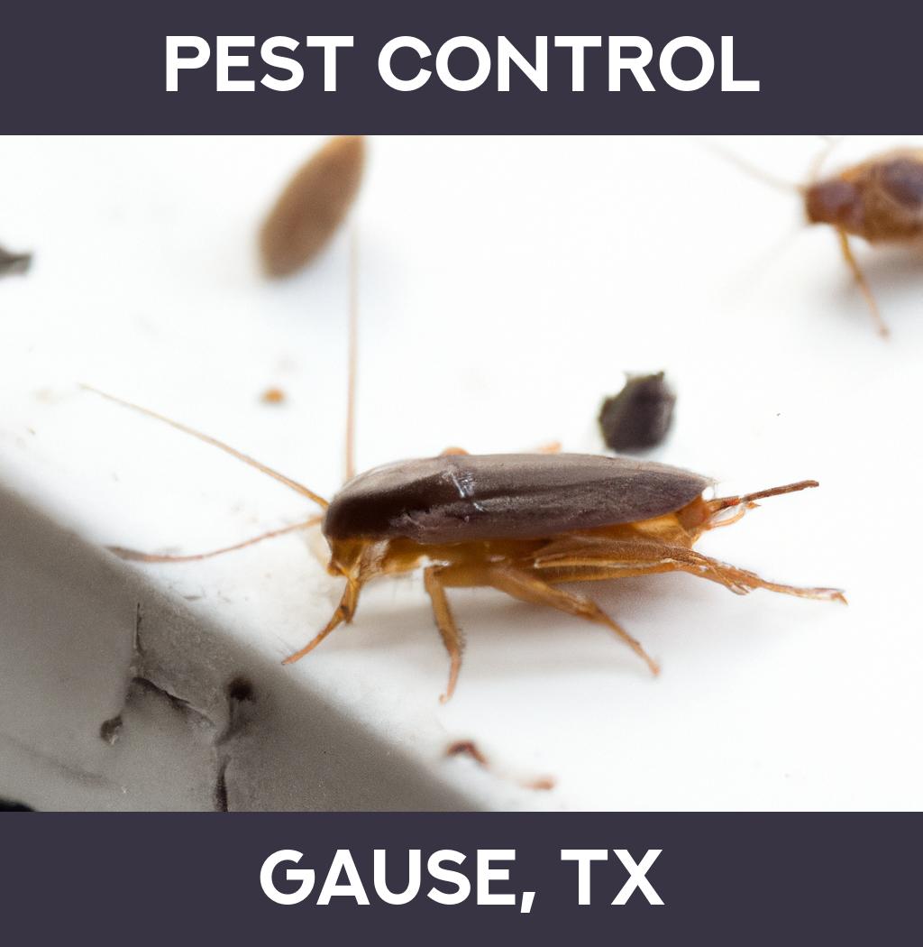 pest control in Gause Texas