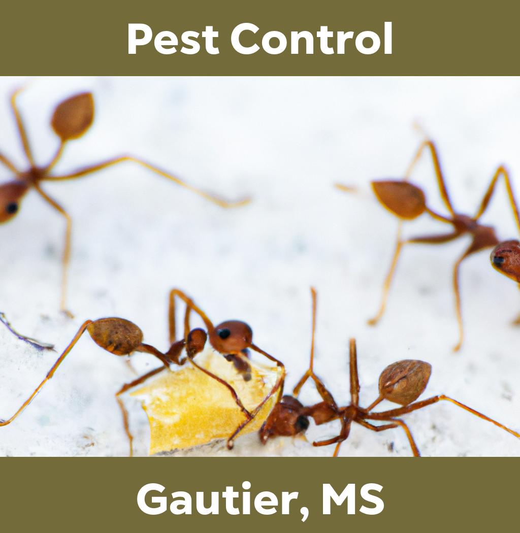 pest control in Gautier Mississippi