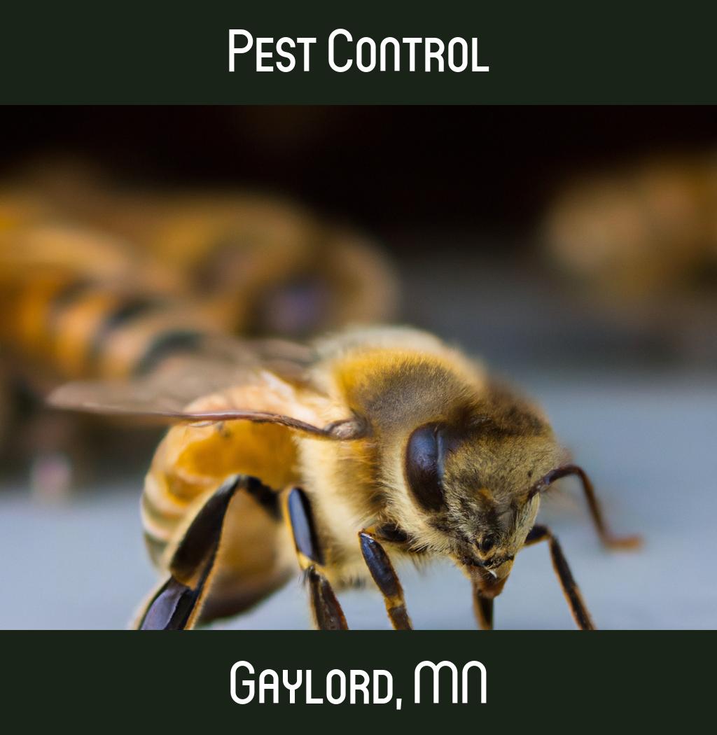 pest control in Gaylord Minnesota