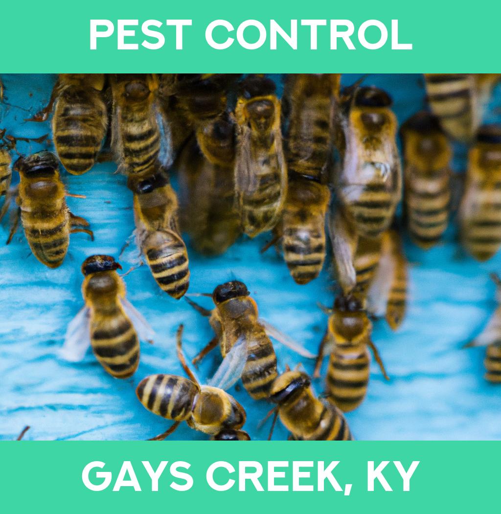 pest control in Gays Creek Kentucky