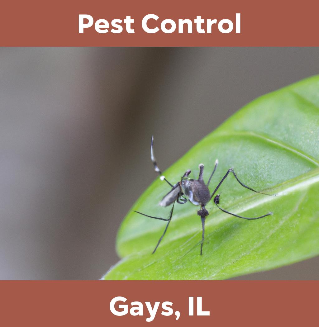 pest control in Gays Illinois