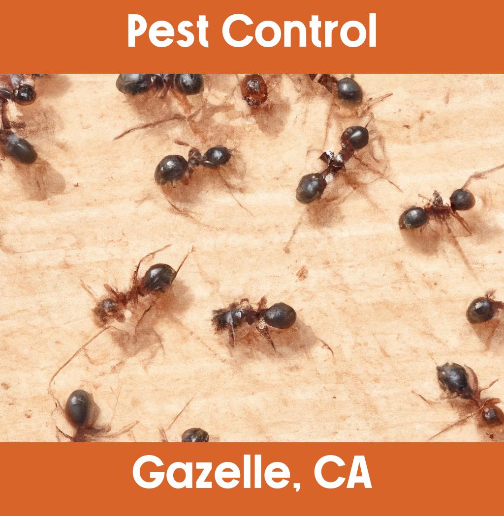 pest control in Gazelle California