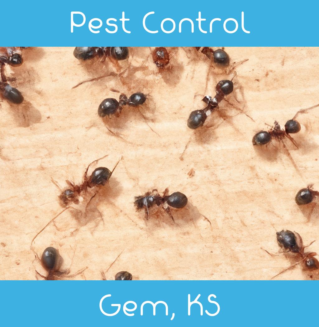 pest control in Gem Kansas