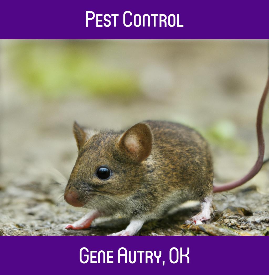 pest control in Gene Autry Oklahoma