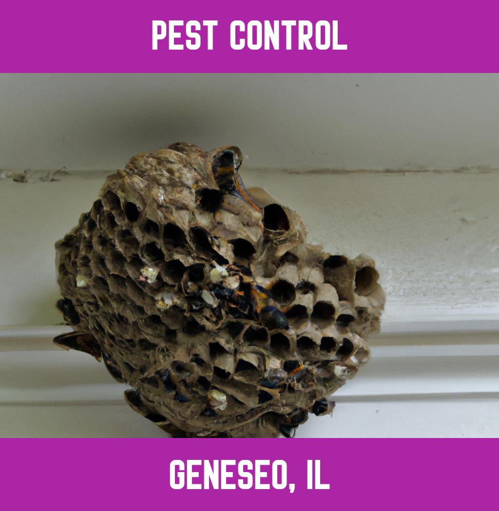 pest control in Geneseo Illinois