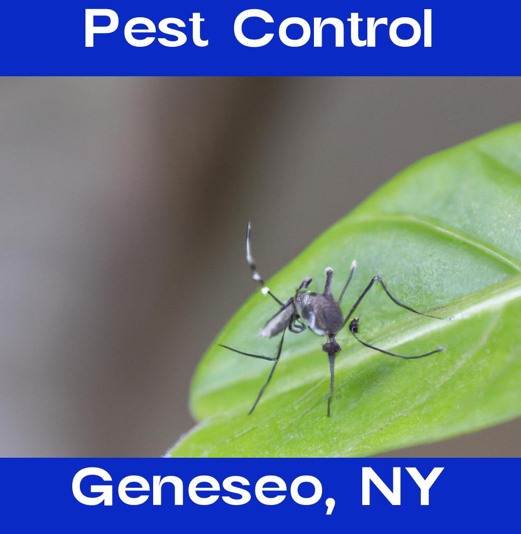 pest control in Geneseo New York