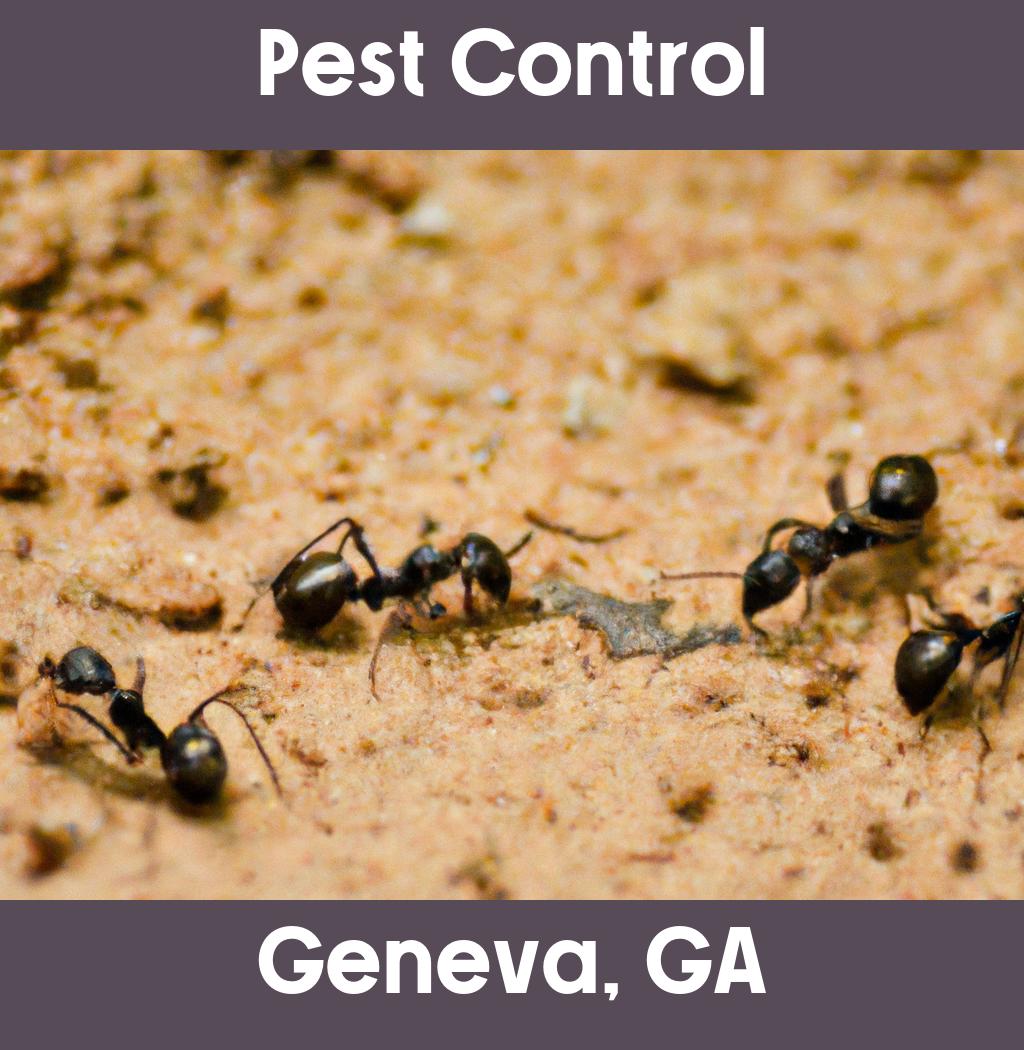 pest control in Geneva Georgia