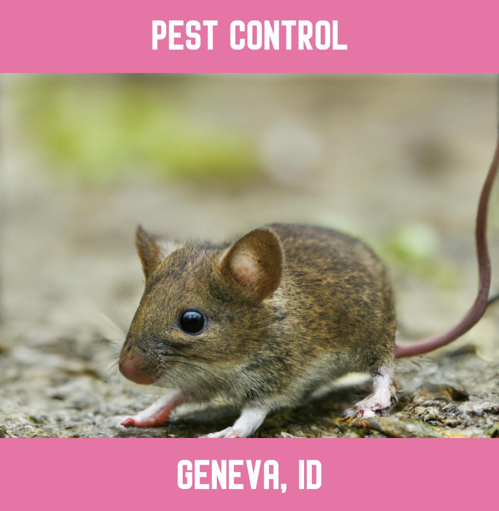 pest control in Geneva Idaho