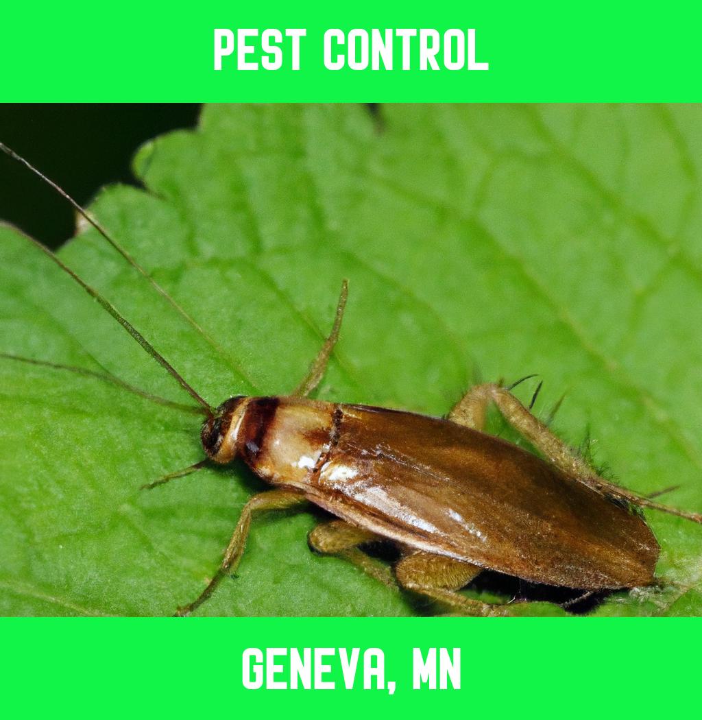 pest control in Geneva Minnesota