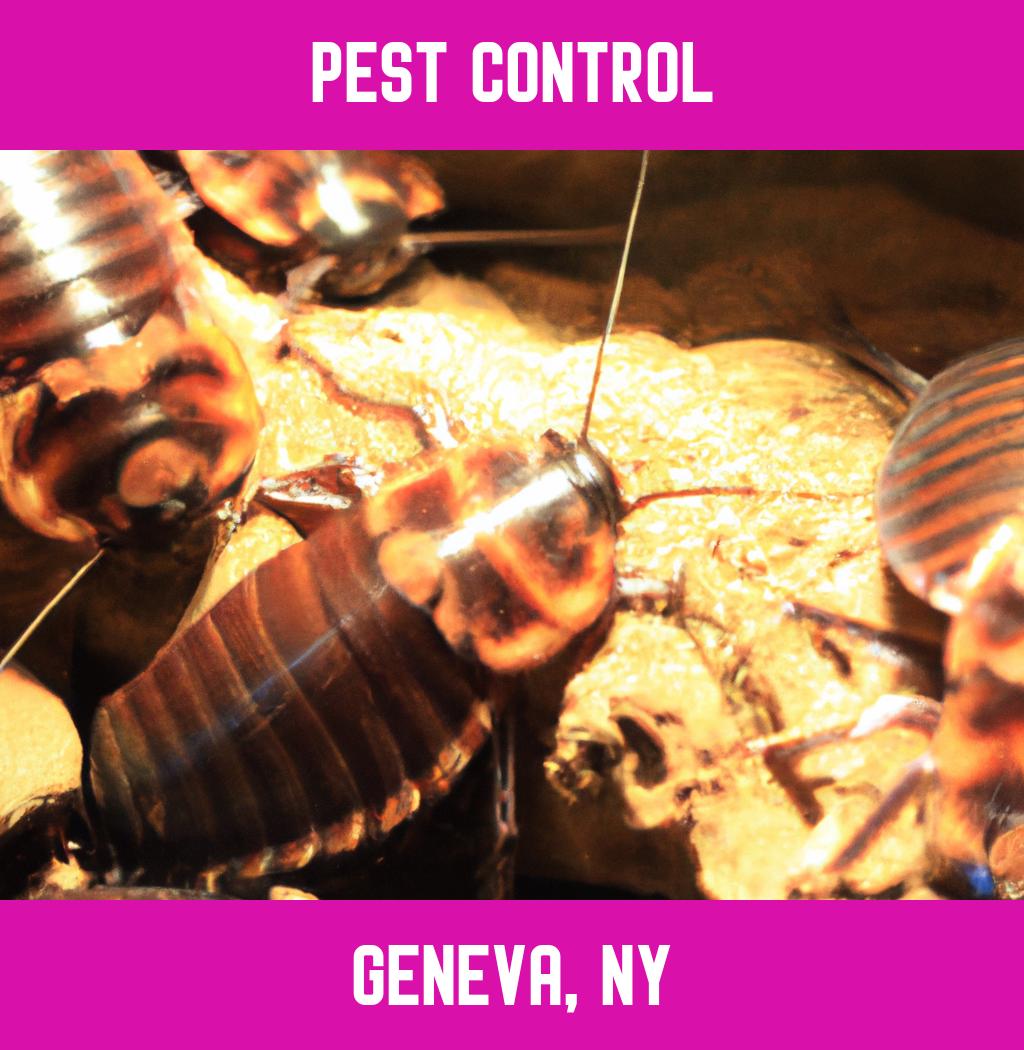 pest control in Geneva New York