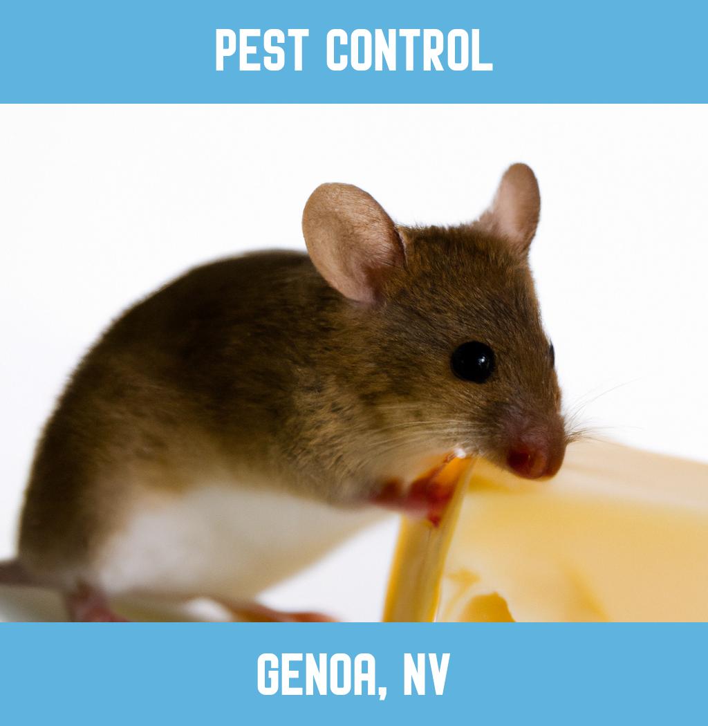 pest control in Genoa Nevada