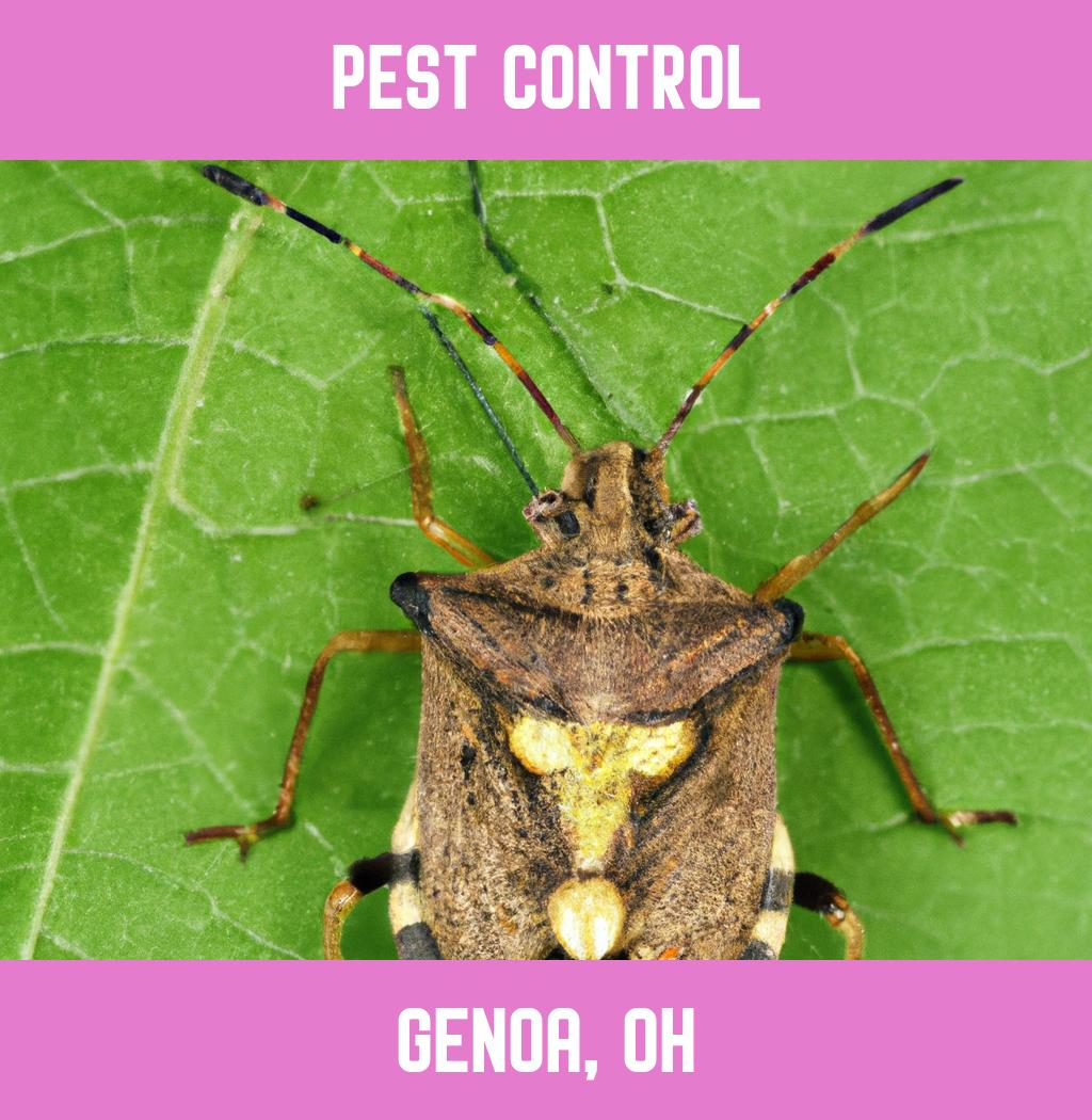 pest control in Genoa Ohio