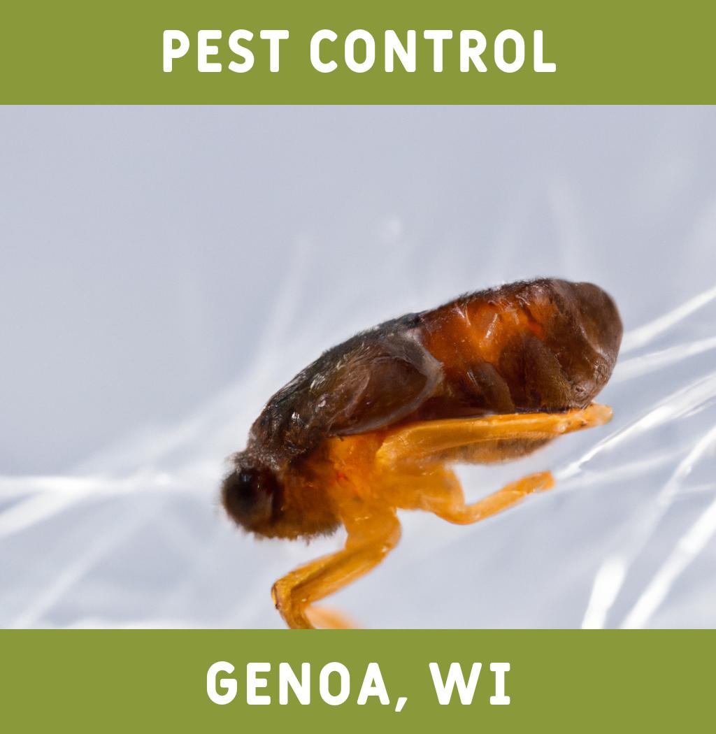 pest control in Genoa Wisconsin