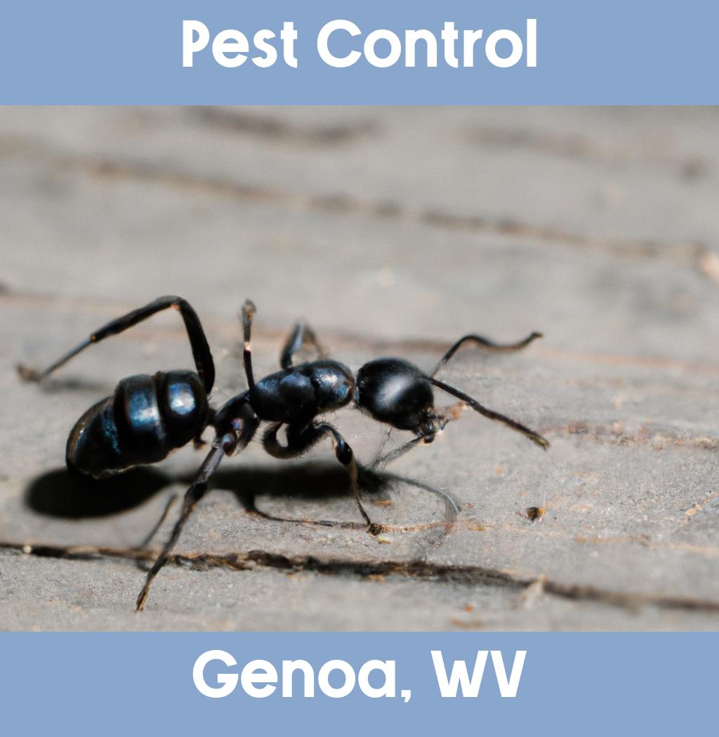 pest control in Genoa West Virginia