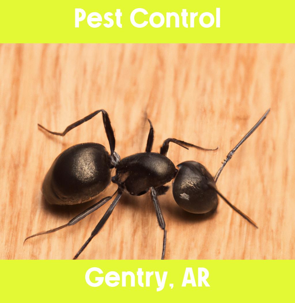 pest control in Gentry Arkansas