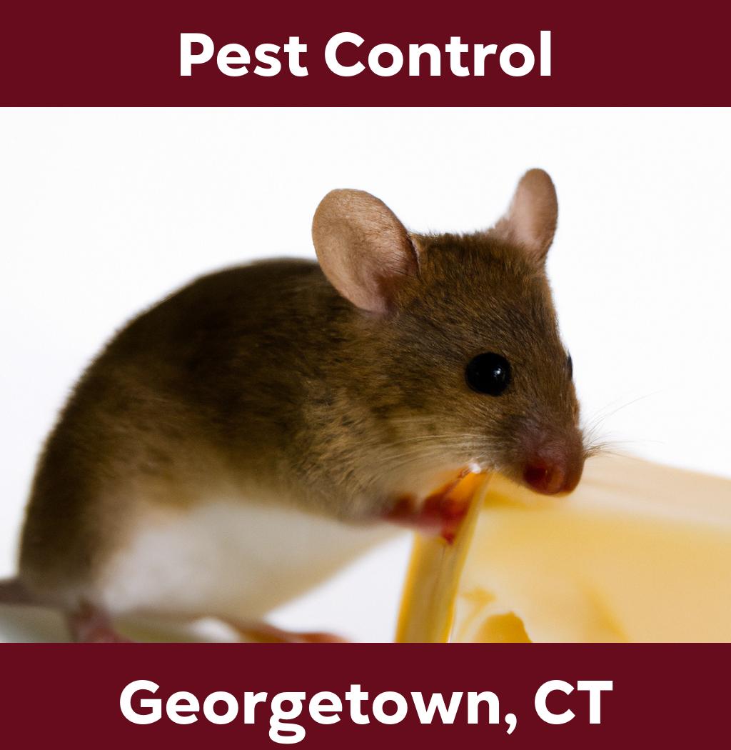 pest control in Georgetown Connecticut
