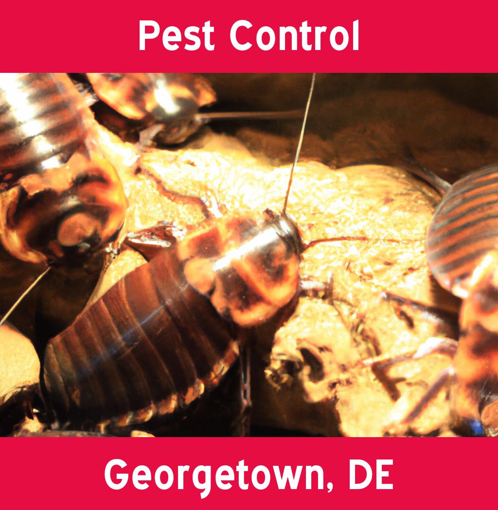 pest control in Georgetown Delaware