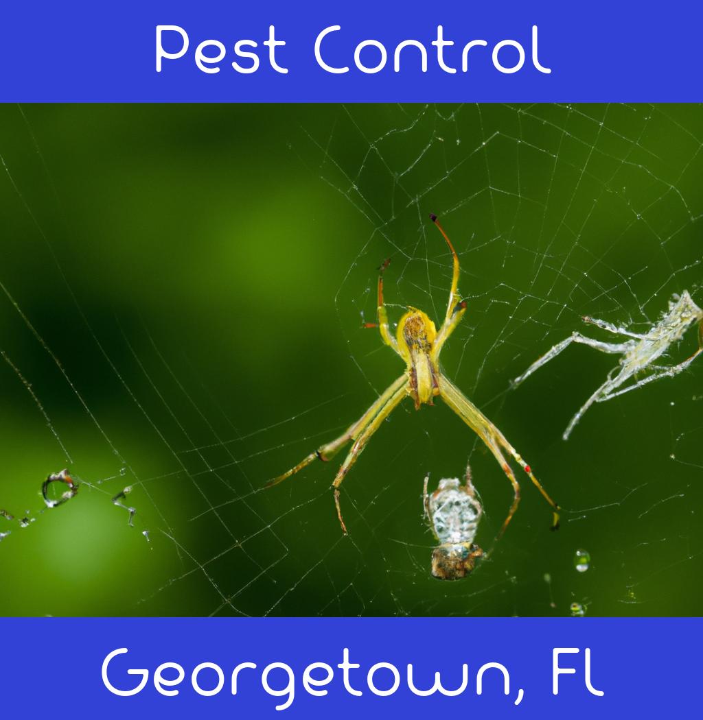 pest control in Georgetown Florida