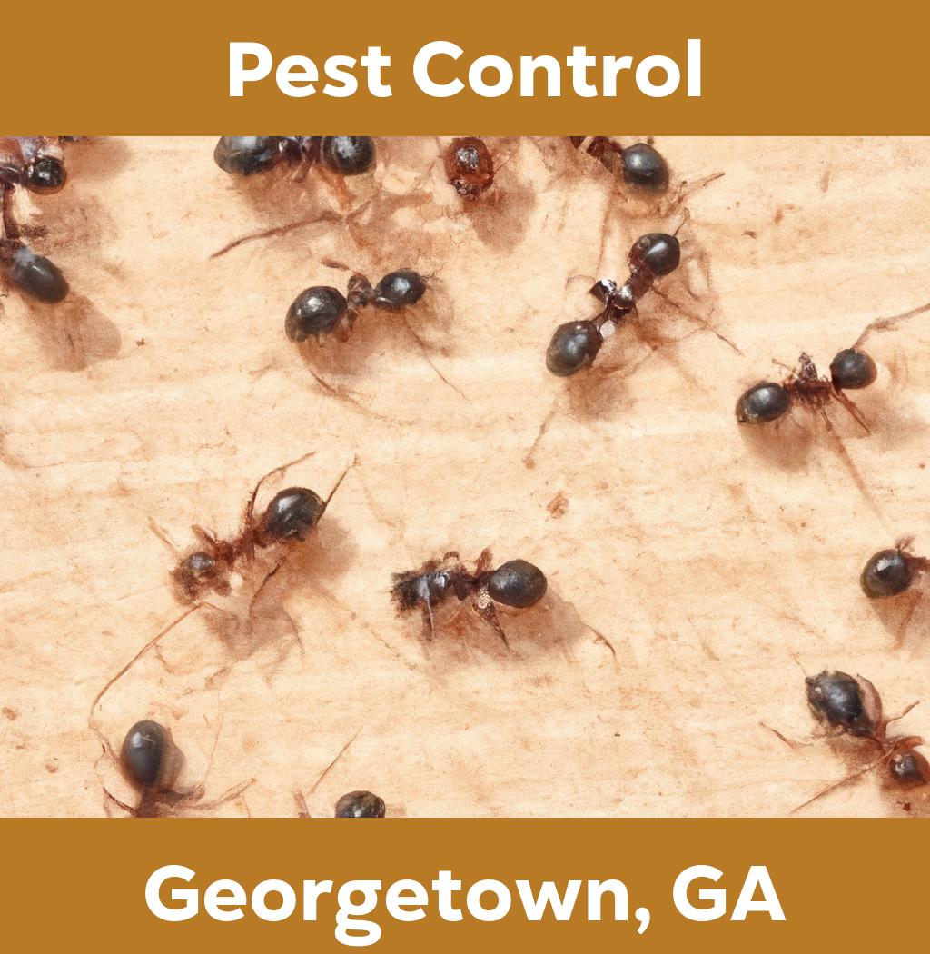 pest control in Georgetown Georgia