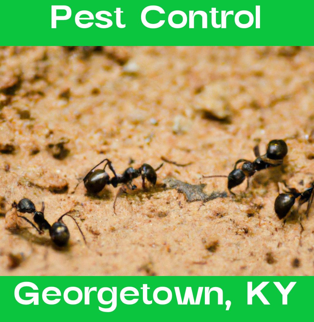 pest control in Georgetown Kentucky