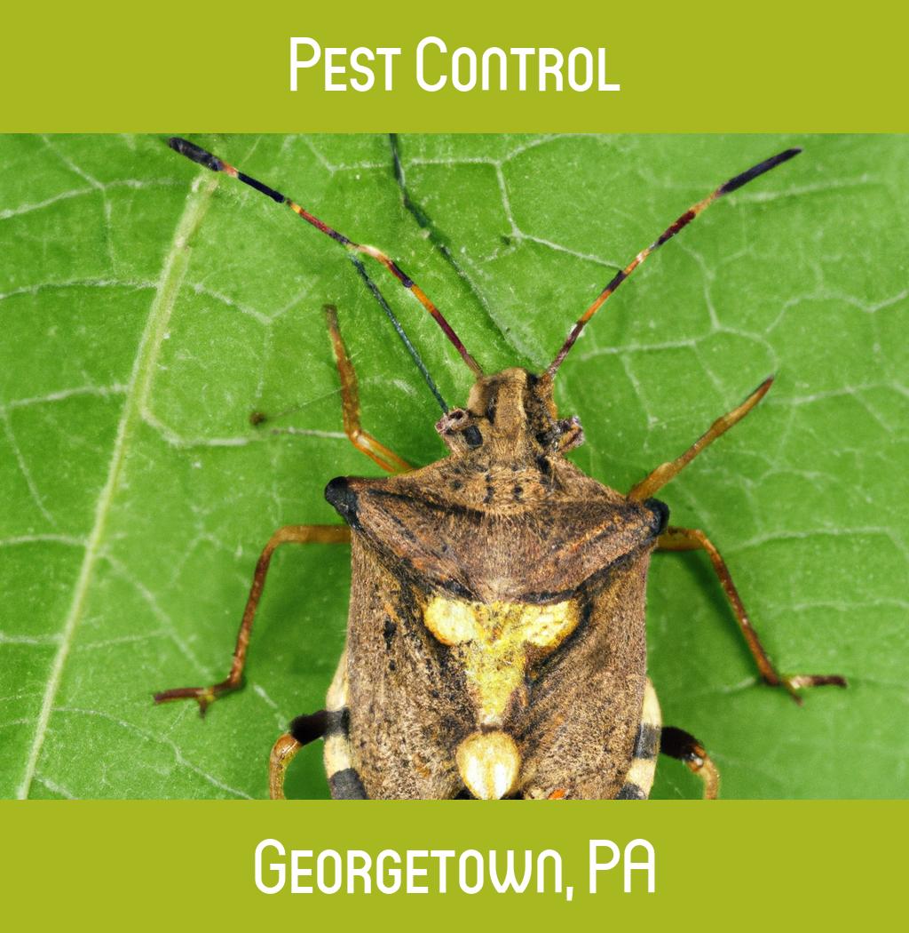 pest control in Georgetown Pennsylvania