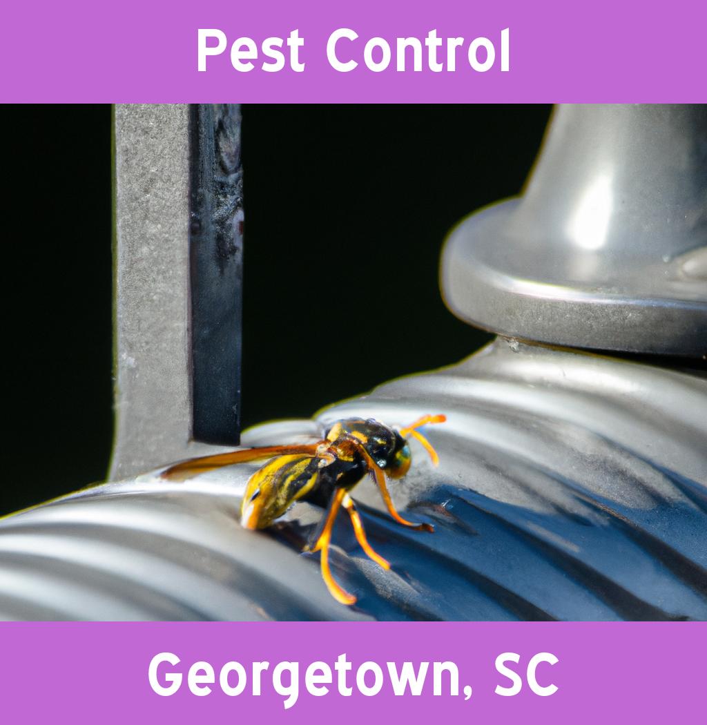 pest control in Georgetown South Carolina
