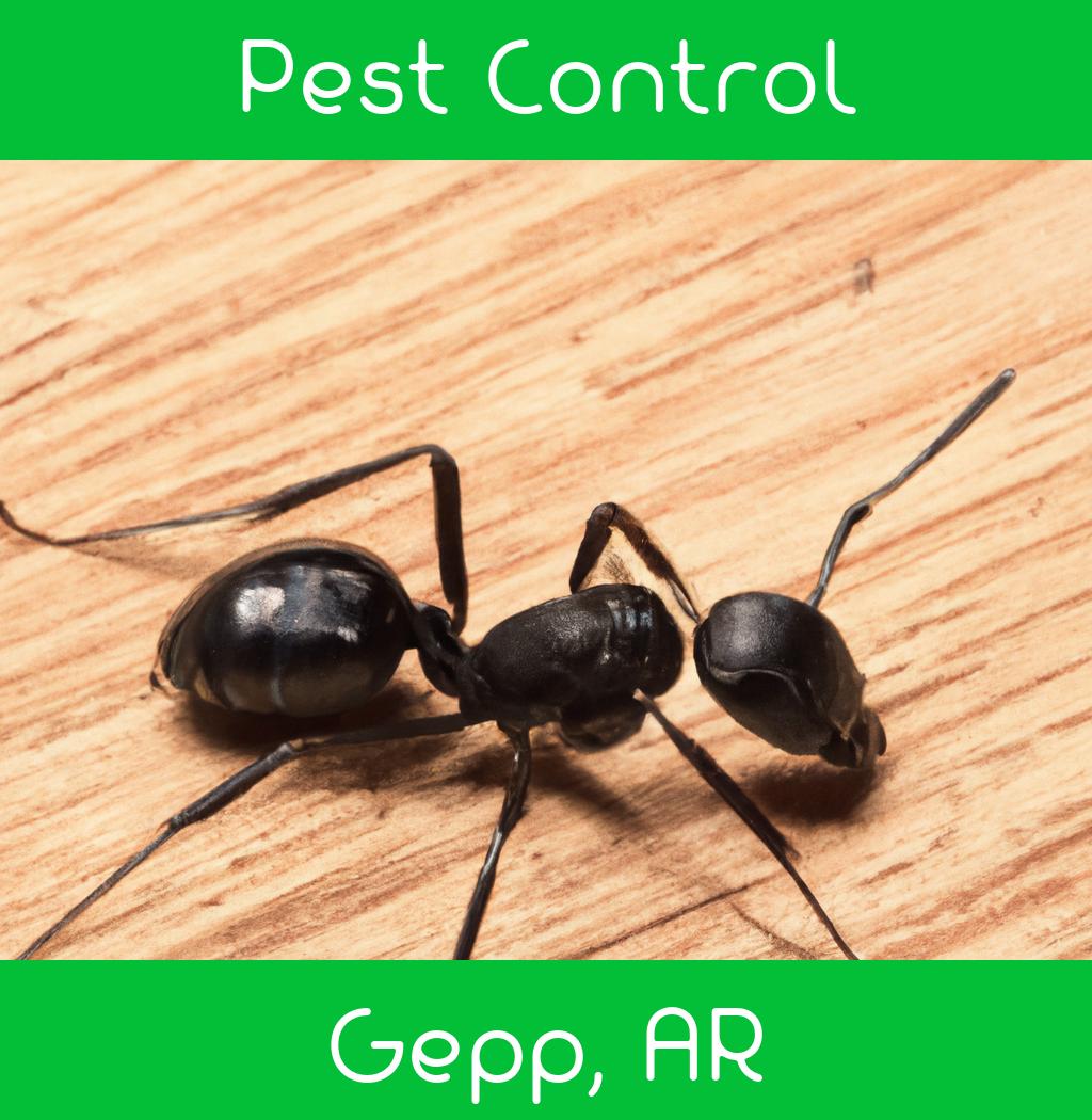 pest control in Gepp Arkansas