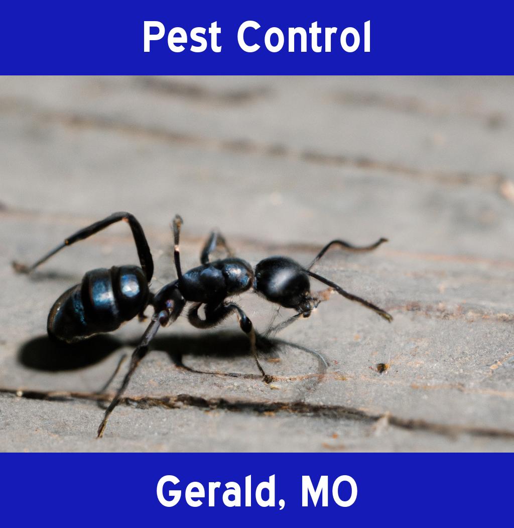 pest control in Gerald Missouri