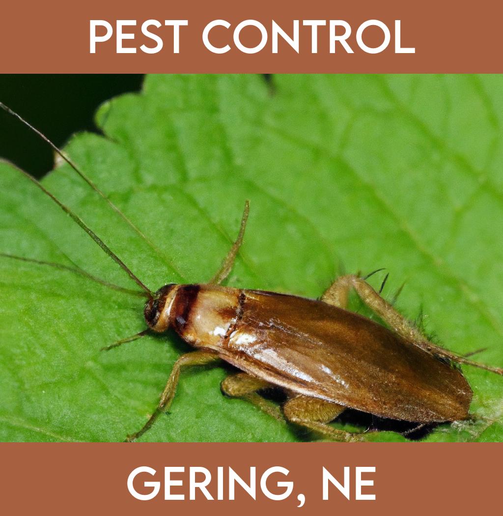 pest control in Gering Nebraska