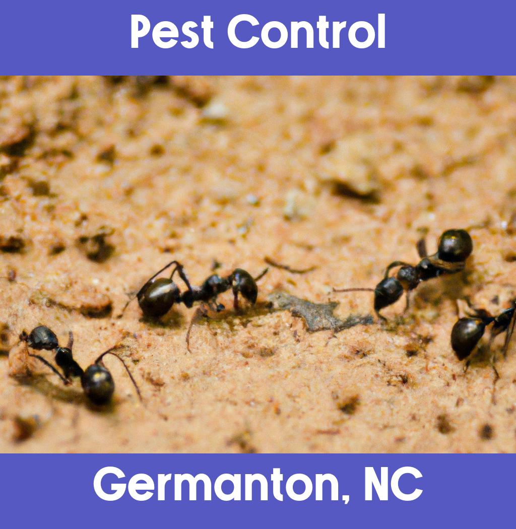 pest control in Germanton North Carolina