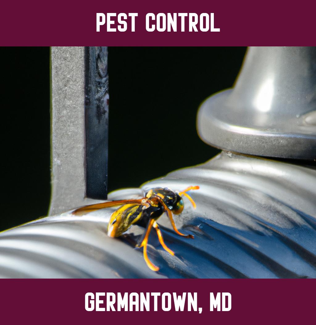 pest control in Germantown Maryland