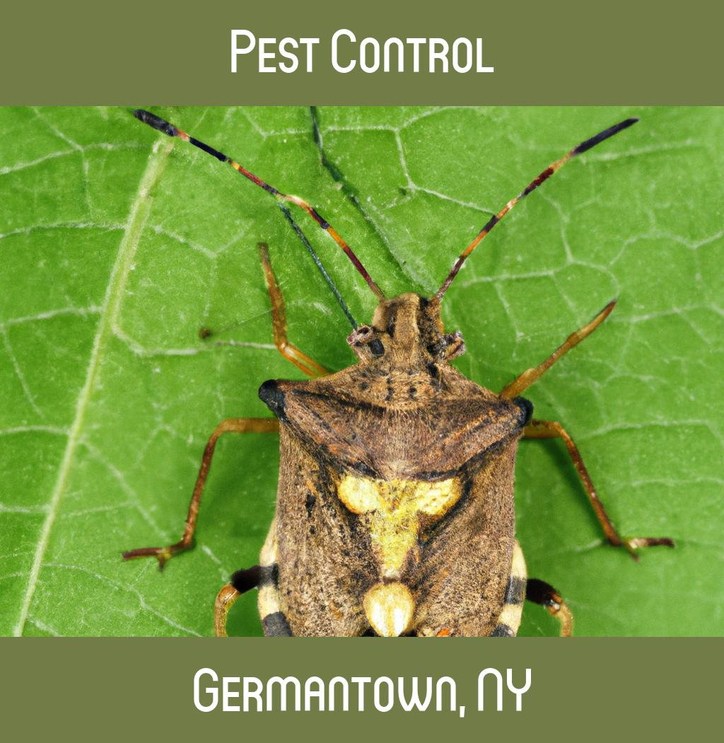 pest control in Germantown New York