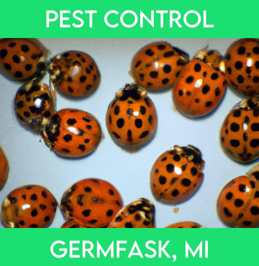 pest control in Germfask Michigan