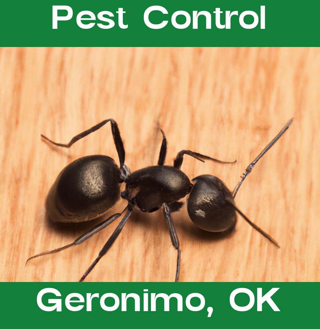 pest control in Geronimo Oklahoma