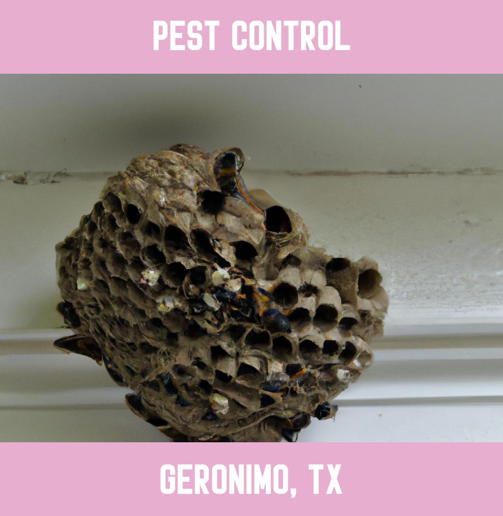 pest control in Geronimo Texas