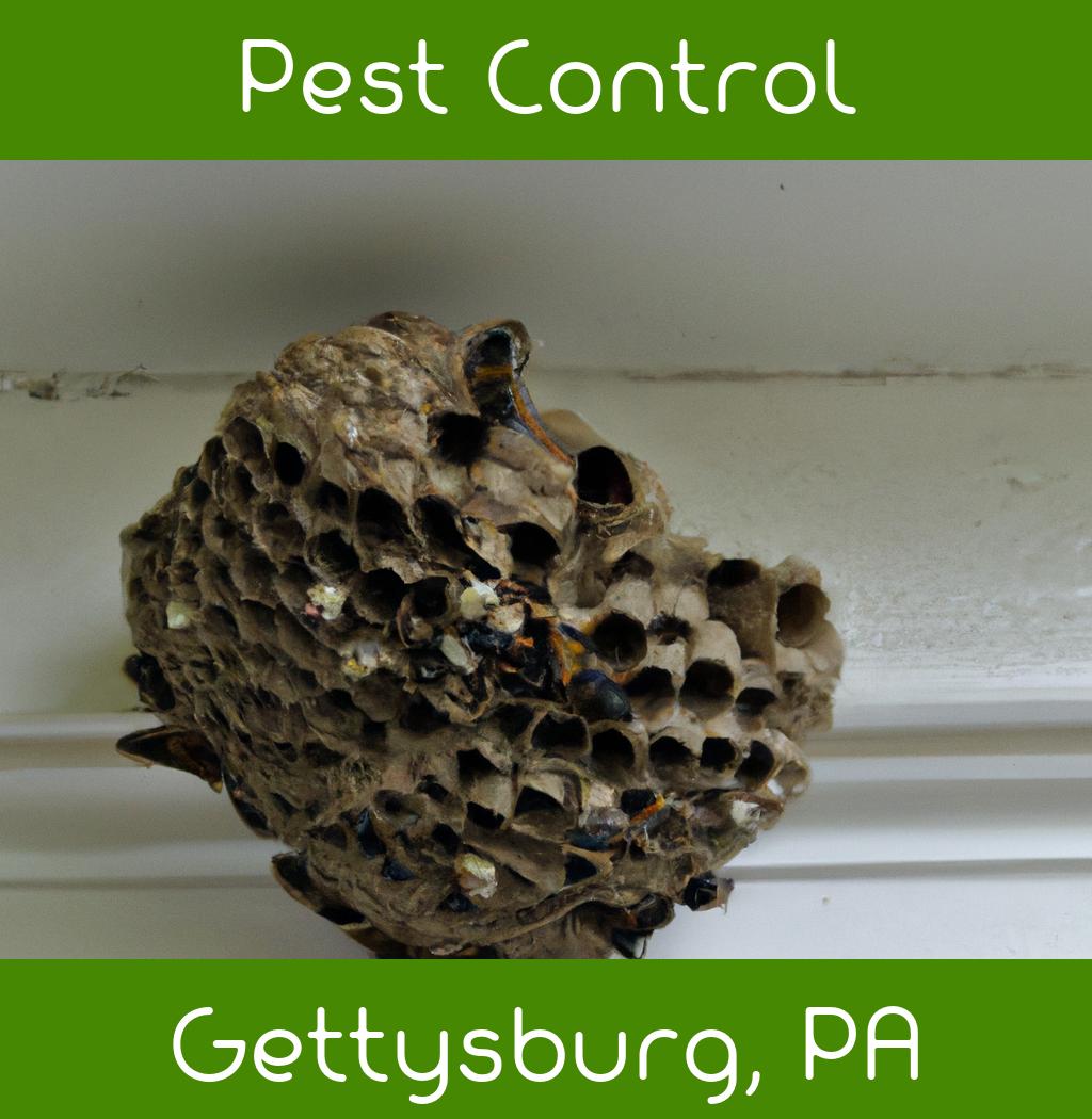 pest control in Gettysburg Pennsylvania