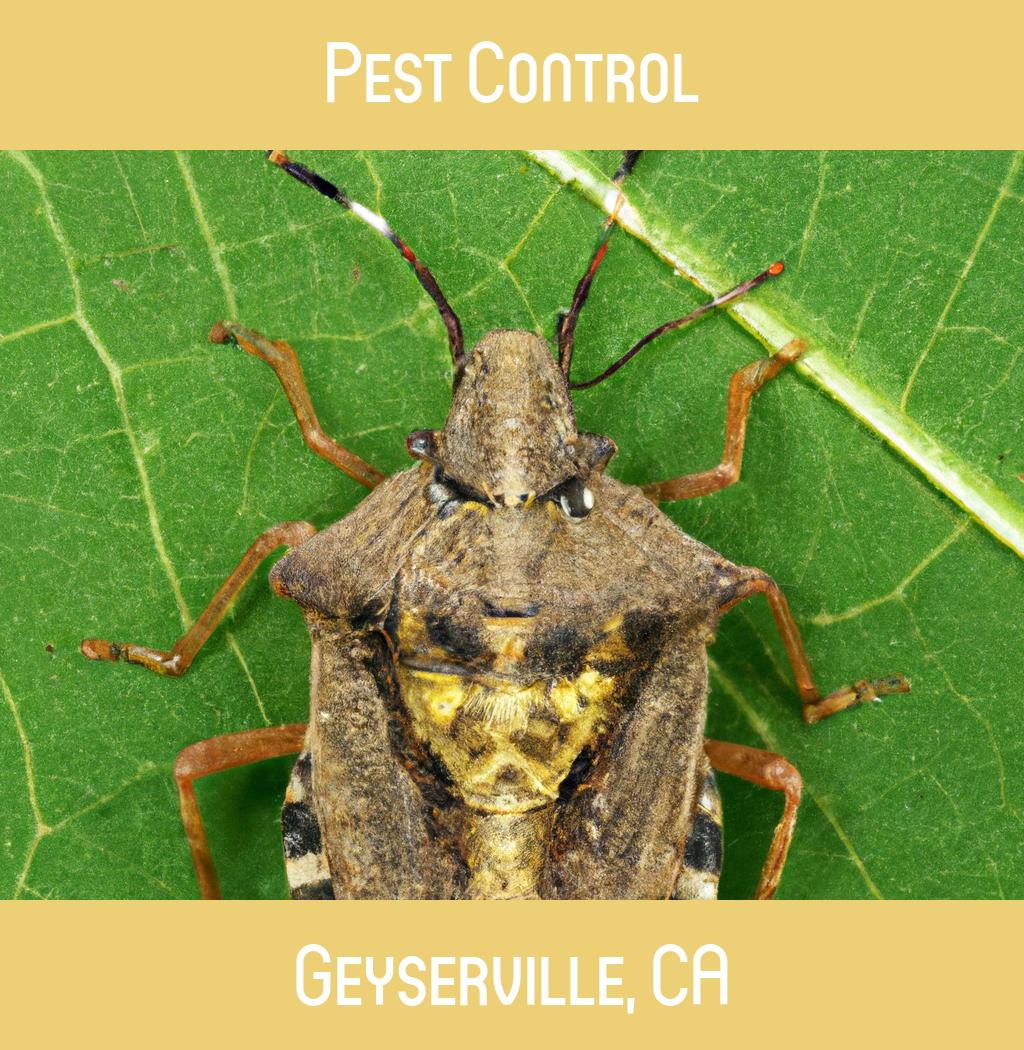 pest control in Geyserville California