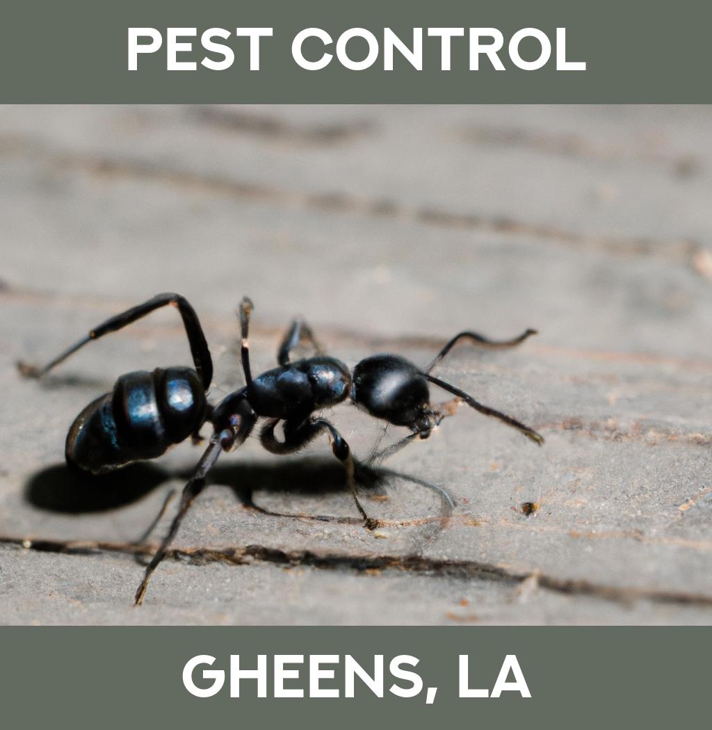 pest control in Gheens Louisiana