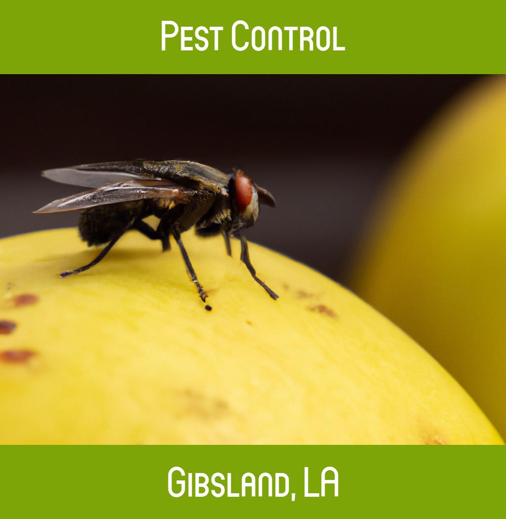 pest control in Gibsland Louisiana
