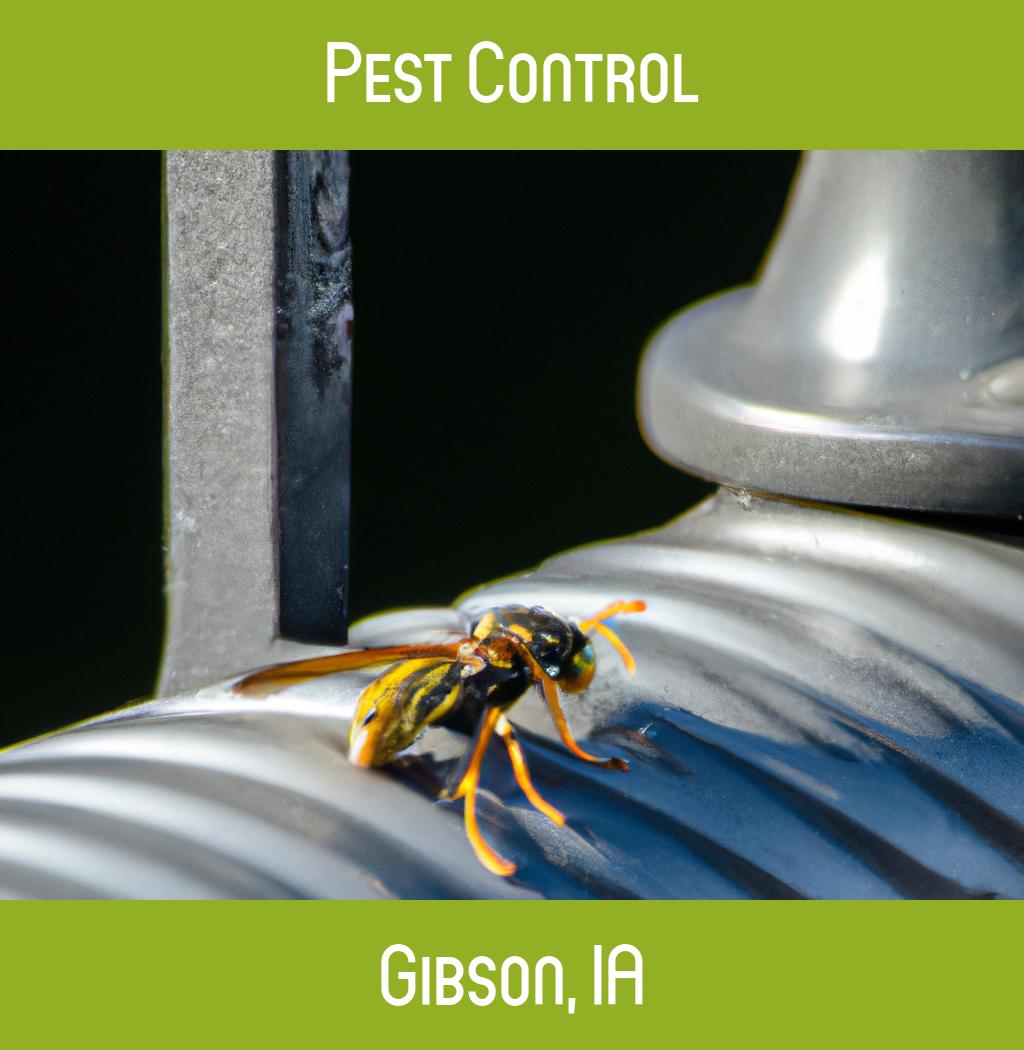 pest control in Gibson Iowa